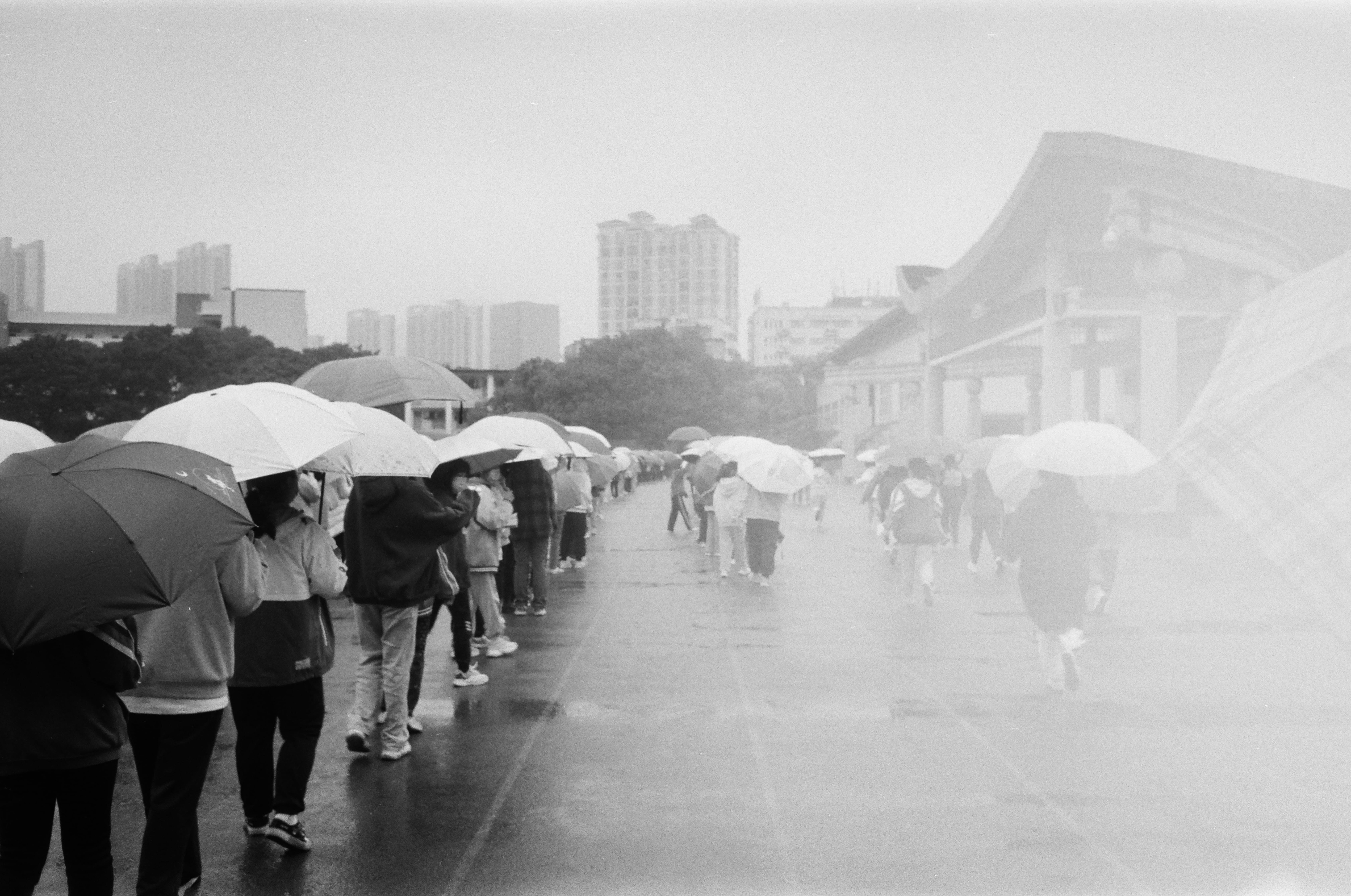 微小的人,廣闊地活,影像二